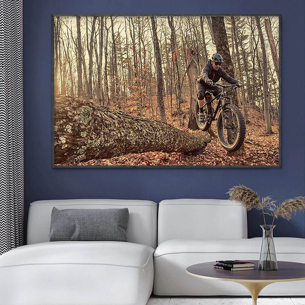 SP082 Silk Cloth Wall Poster M - Mountain Biking Movies review and price