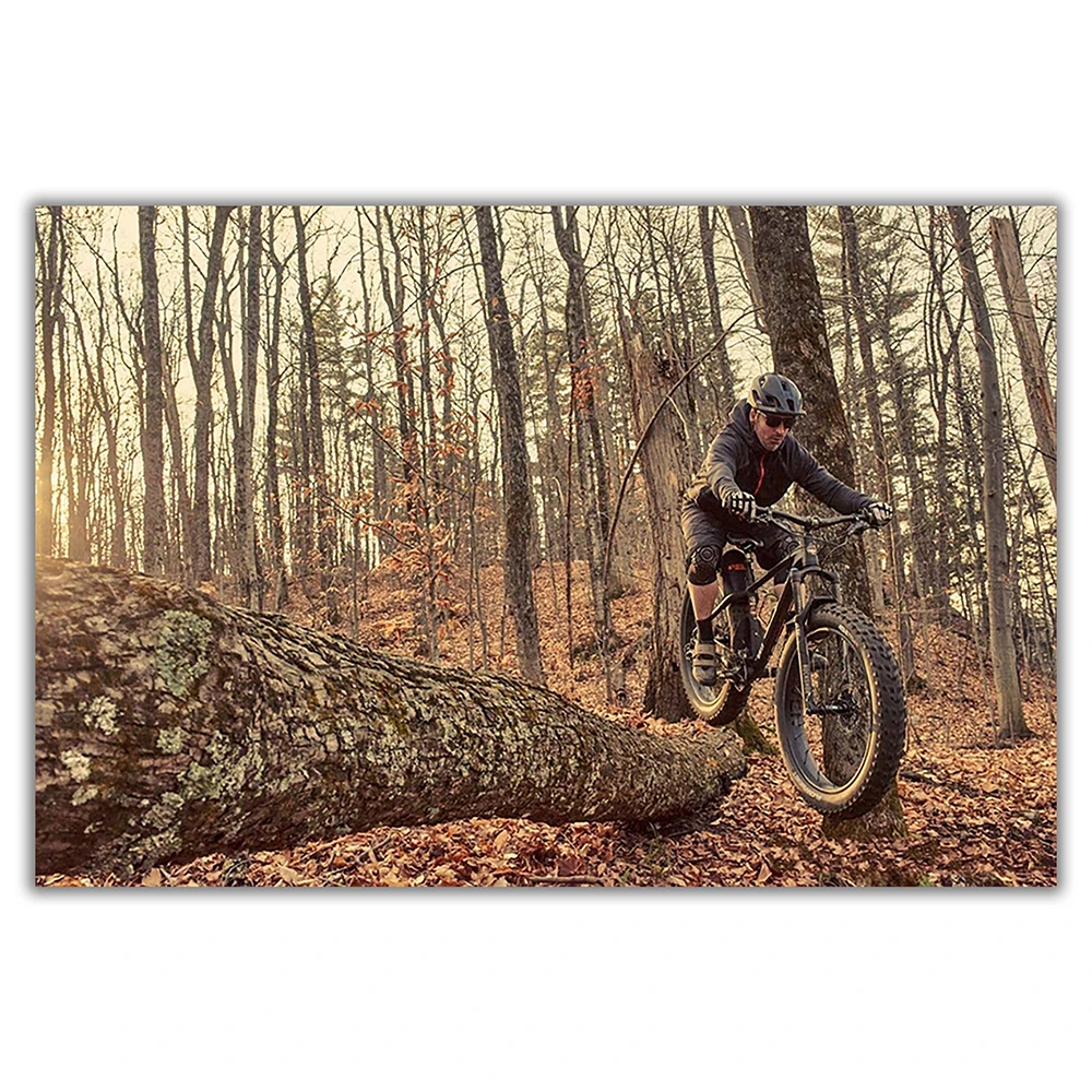 SP082 Silk Cloth Wall Poster M - Mountain Biking Movies review and price