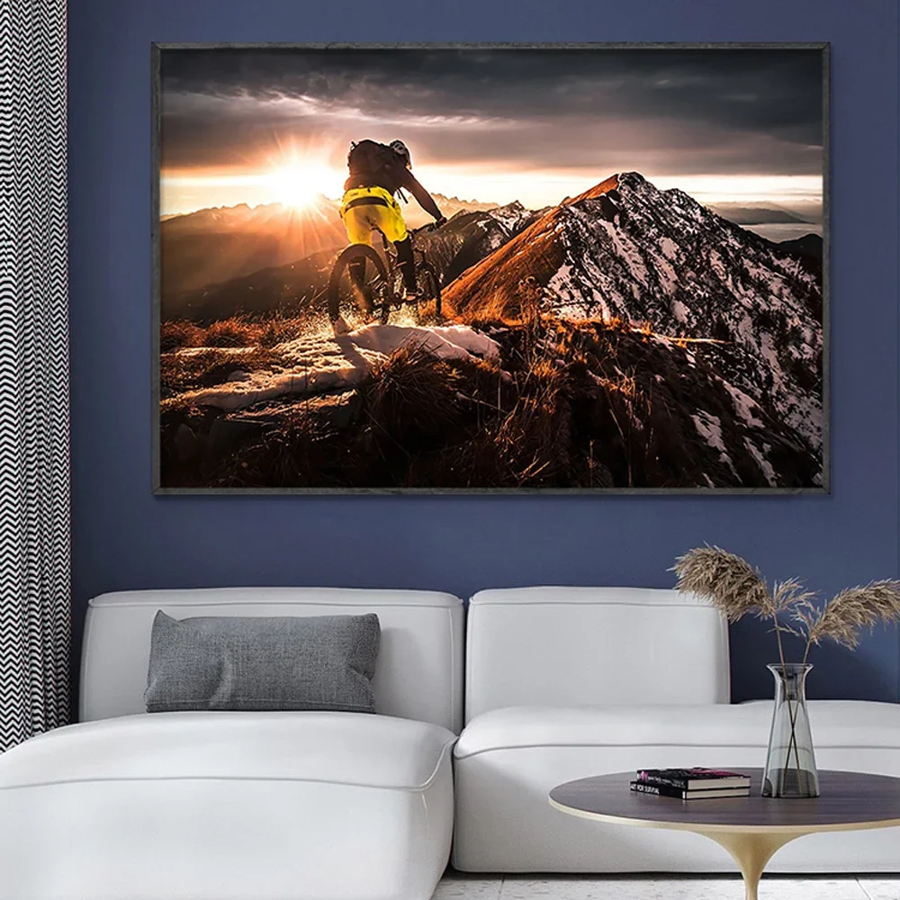 SP080 Silk Cloth Wall Poster M - Mountain Biking Movies review and price