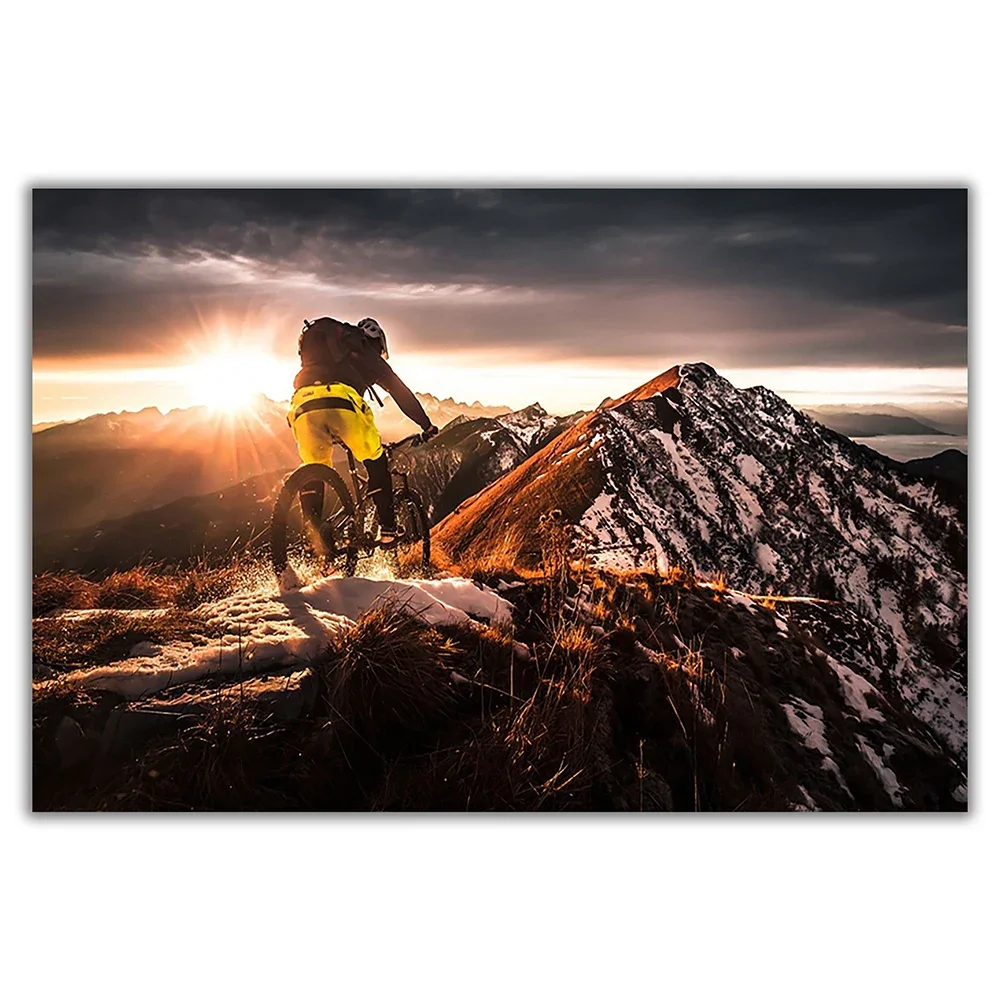 SP080 Silk Cloth Wall Poster M - Mountain Biking Movies review and price
